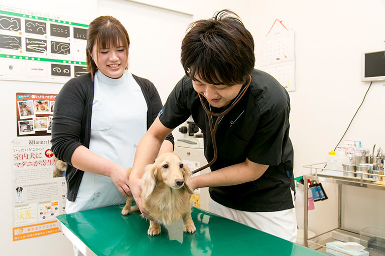 健康診断が大切な理由