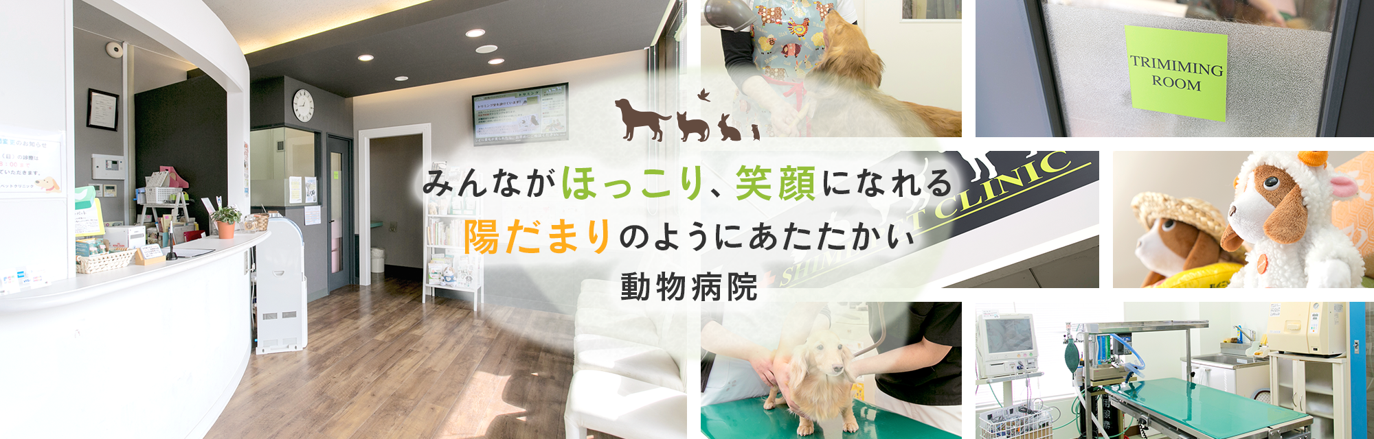 みんながほっこり、笑顔になれる陽だまりのようにあたたかい動物病院