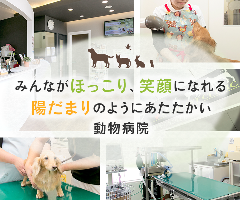 みんながほっこり、笑顔になれる陽だまりのようにあたたかい動物病院